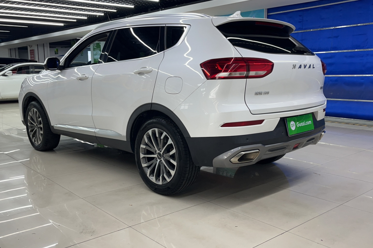 哈弗H6 2020款 1.5GDIT 自动铂金冠军版车身外观6006