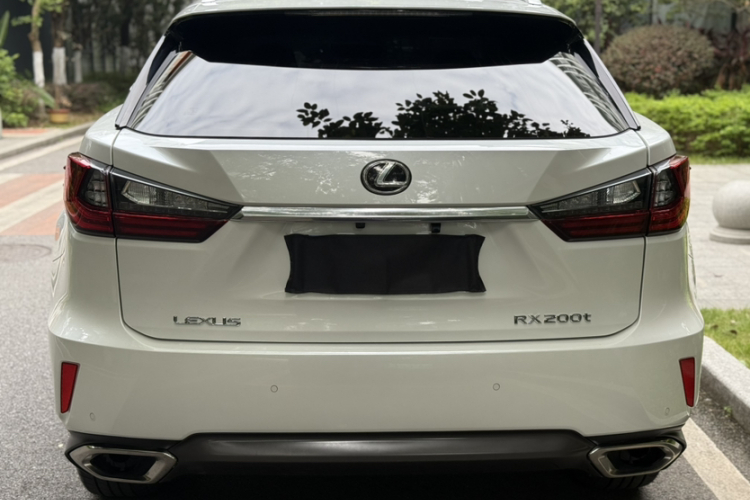 雷克萨斯RX 2016款 300 四驱典雅版 国V车身外观6003