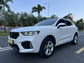 魏牌 VV5 2019款 1.5T 两驱智先锋