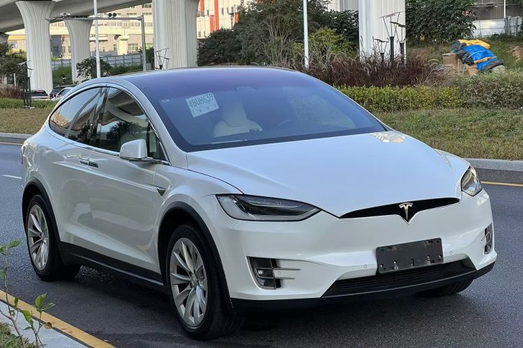 特斯拉 Model X 2019款 长续航版车身外观6002