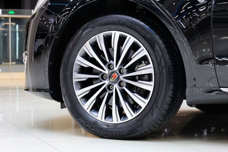 红旗H7 2021款 2.0T 旗舰版车身外观6009