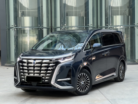 腾势D9 2022款 DM-i 1040 尊贵型