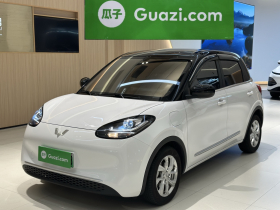 五菱汽车 五菱缤果 2024款 203km 轻享款