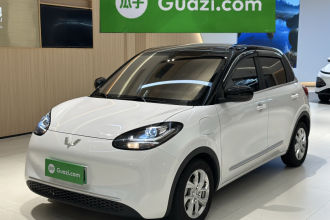 五菱汽车 五菱缤果 2024款 203km 轻享款