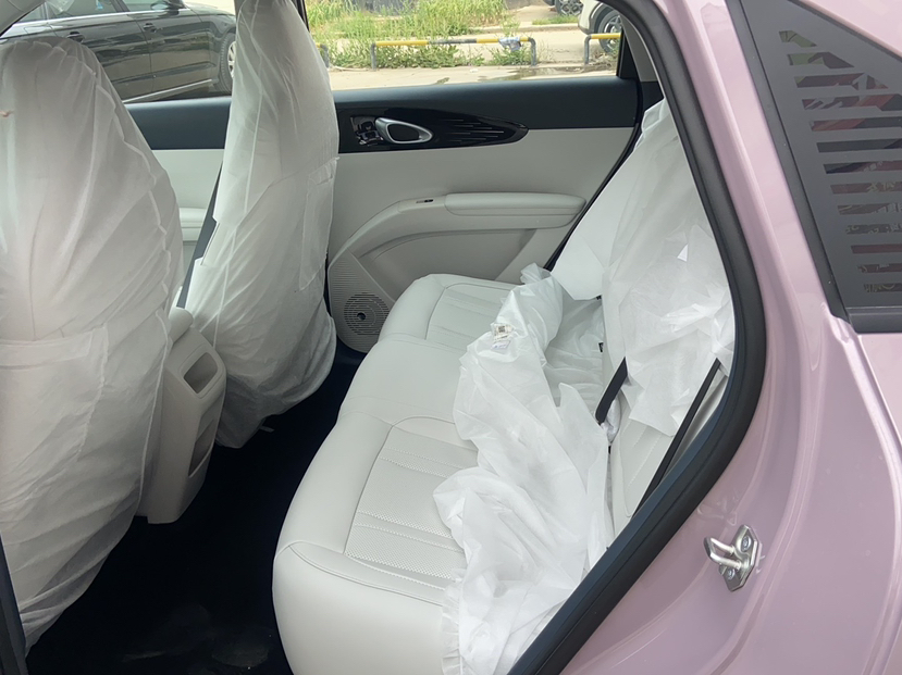 吉利汽车 星愿 2025款 310km 青春版