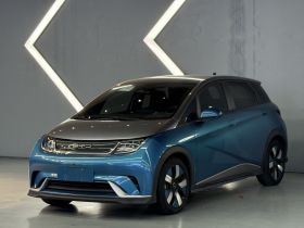 比亚迪 海豚 2021款 401km 骑士版