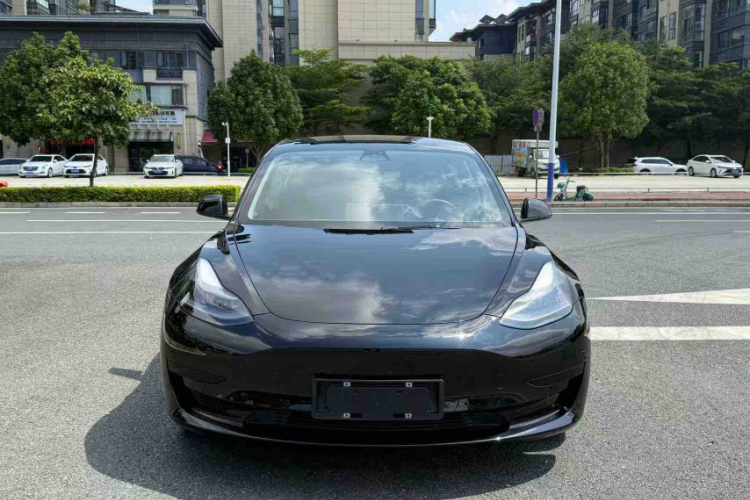 特斯拉 Model 3 2021款 标准续航后驱升级版车身外观6003