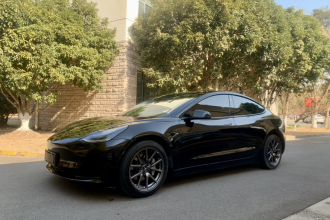 特斯拉 Model 3 2020款 标准续航后驱升级版