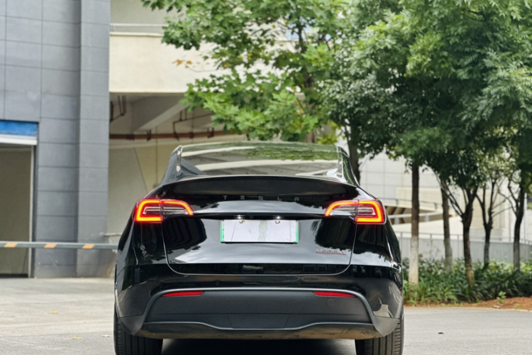 特斯拉 Model Y 2022款 Performance高性能全轮驱动版车身外观6007