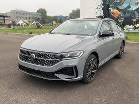 大众 朗逸 2023款 300TSI DSG星空永逸版