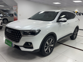 哈弗H6 2023款 国潮版 1.5T 自动冠军版