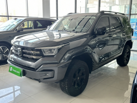 坦克400新能源 2024款 Hi4-T 越野版