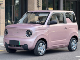 吉利银河 2023款 熊猫mini 200km 耐力熊