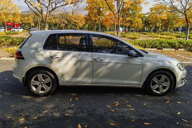 大众 高尔夫 2017款 1.6L 自动舒适百万辆纪念版车身外观6005