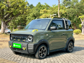 吉利银河 2024款 200km 熊猫骑士