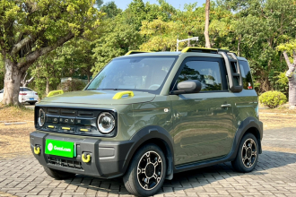 吉利银河 2024款 200km 熊猫骑士