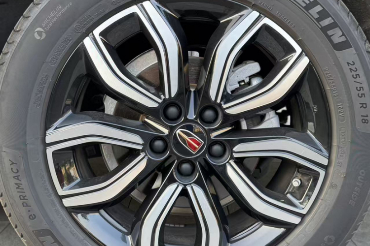 红旗HQ9 2023款 2.0T 智联旗畅版车身外观6004