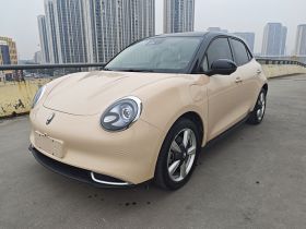 欧拉好猫 2023款 401km标准续航 豪华型 磷酸铁锂