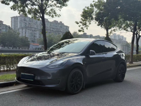 特斯拉 Model Y 2021款 长续航全轮驱动版 3D7