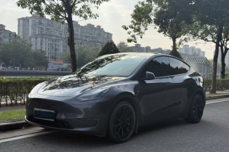 特斯拉 Model Y 2021款 长续航全轮驱动版 3D7
