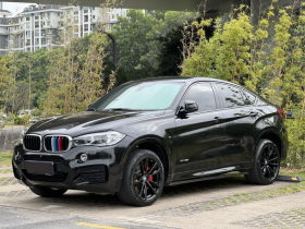 宝马X6  xDrive35i M运动套装