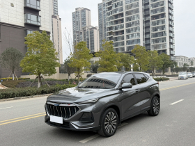 长安欧尚X5 2021款 1.5T DCT尊贵型