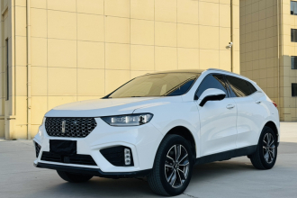 魏牌 VV5 2020款 1.5T 两驱智先锋