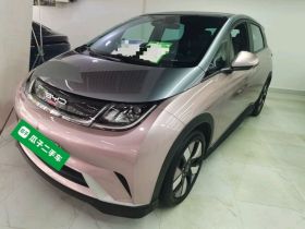 比亚迪 海豚 2021款 401km 骑士版