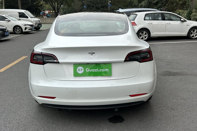 特斯拉 Model 3(进口) 2019款 标准续航后驱升级版(60度)车身外观6004