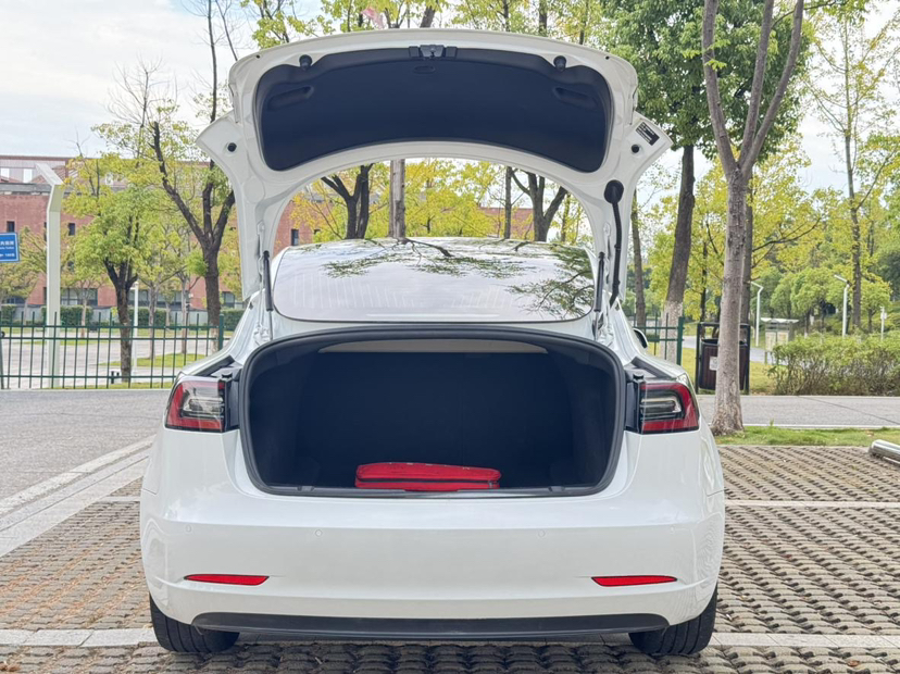 特斯拉 Model 3 2019款 标准续航后驱升级版