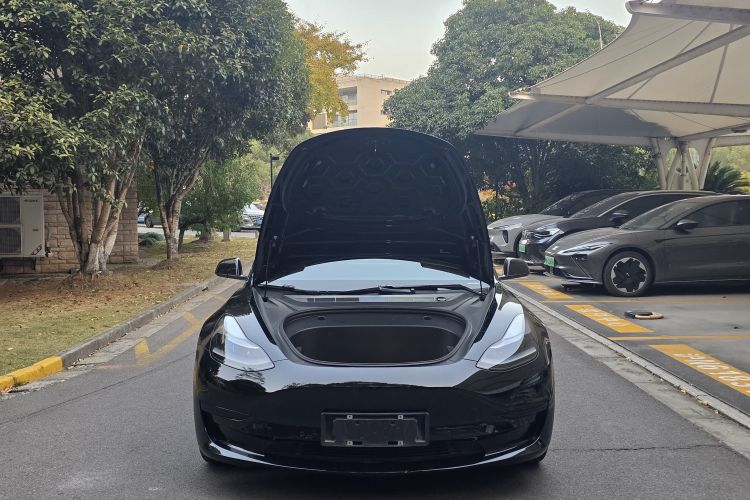 特斯拉 Model 3 2021款 标准续航后驱升级版 3D6局部细节9007