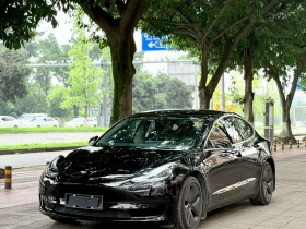 特斯拉 Model 3 2020款 改款 标准续航后驱升级版