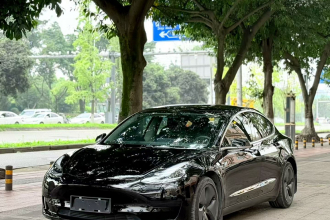 特斯拉 Model 3 2020款 改款 标准续航后驱升级版