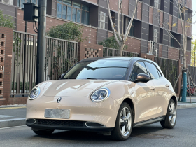 欧拉好猫 2021款 400km标准续航 维纳斯版 磷酸铁锂