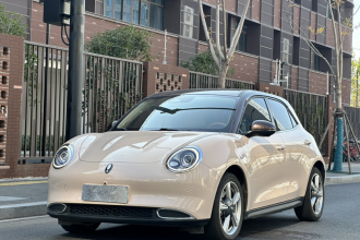 欧拉好猫 2021款 400km标准续航 维纳斯版 磷酸铁锂