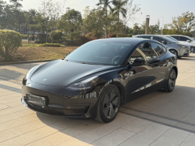特斯拉 Model 3 2021款 标准续航后驱升级版