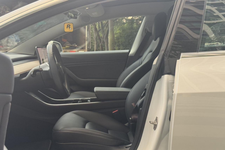 特斯拉 Model 3(进口) 2019款 长续航后驱版中控内饰7004