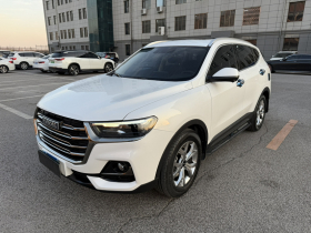 哈弗H6 2021款 国潮版 1.5T 自动冠军版