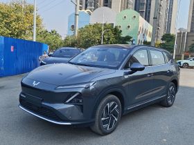五菱汽车 五菱星光S 2025款 510km 旗舰型