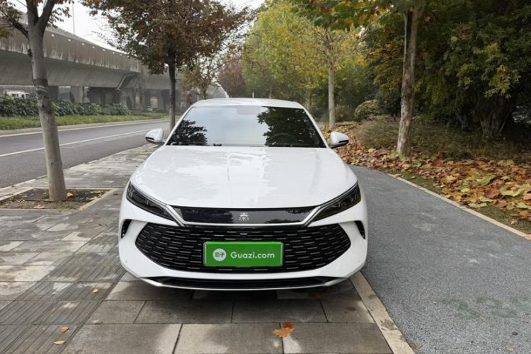 比亚迪 秦L 2024款 DM-i 80KM超越型车身外观6005