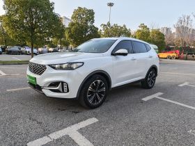 魏牌 VV6 2021款 2.0T 两驱智护+