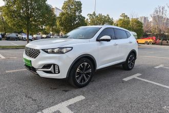 魏牌 VV6 2021款 2.0T 两驱智护+