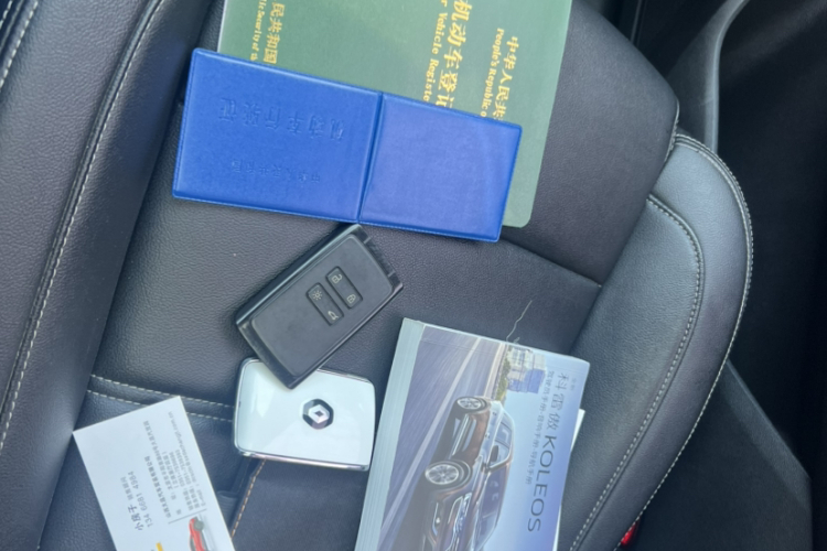 雷诺 科雷傲 2018款 2.0L 两驱豪华版局部细节9003