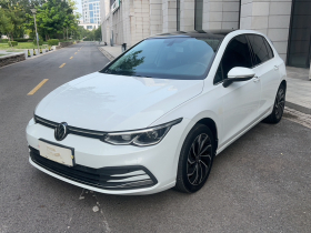 大众 高尔夫 2021款 280TSI DSG Pro