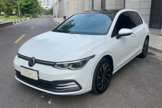 大众 高尔夫 2021款 280TSI DSG Pro