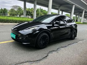 特斯拉 Model Y 2022款 后轮驱动版