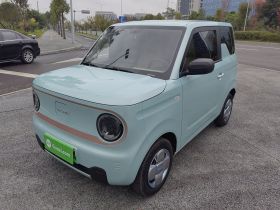 吉利银河 2024款 熊猫mini 200km 耐力熊