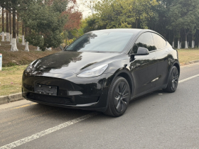 特斯拉 Model Y 2022款 改款 后轮驱动版