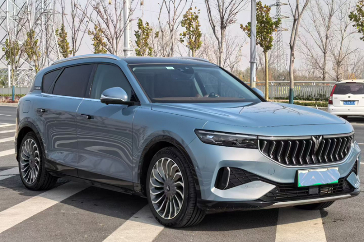 岚图汽车 岚图FREE 2023款 四驱超长续航增程版车身外观6001