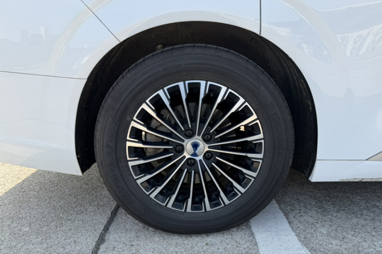 腾势D9 2022款 DM-i 970 四驱尊荣型车身外观6012